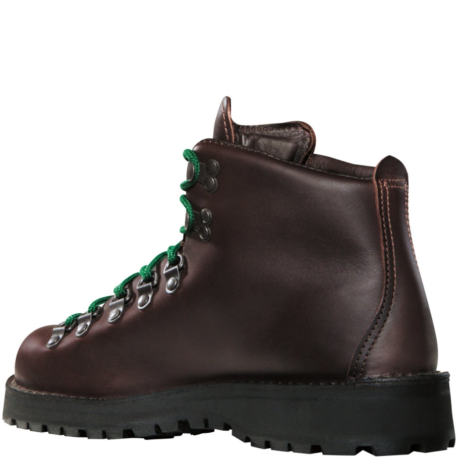 Danner Dames Mountain Light Ii Bruin-gore-tex
