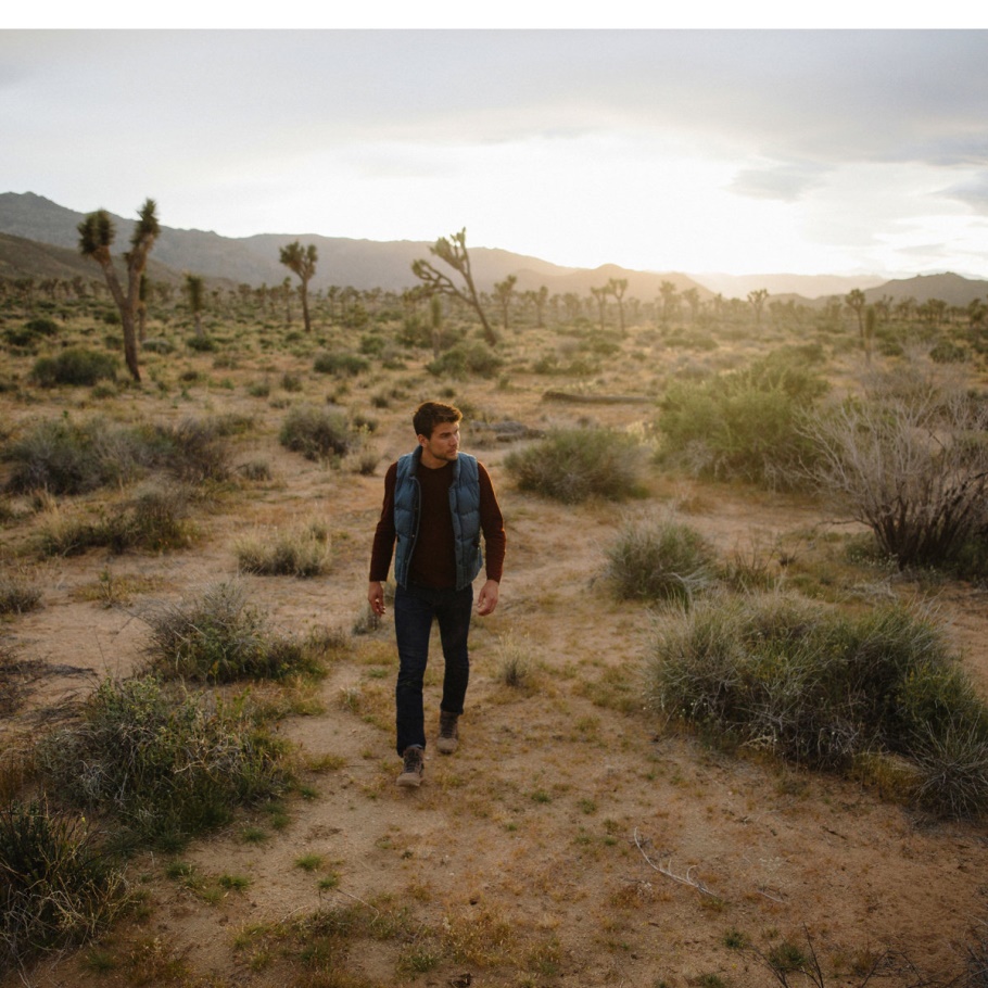 Skyridge Donkere Aarde Danner