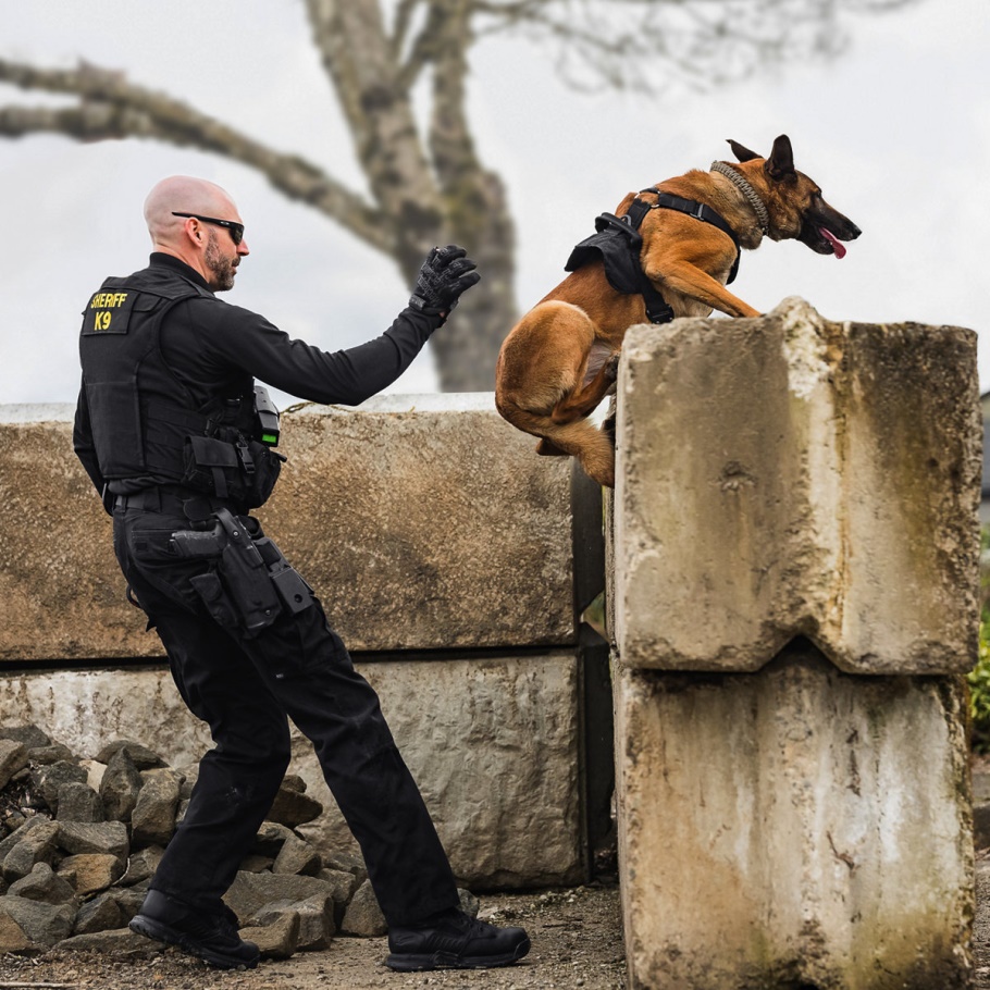 Slagbout 45 Zwarte Danner