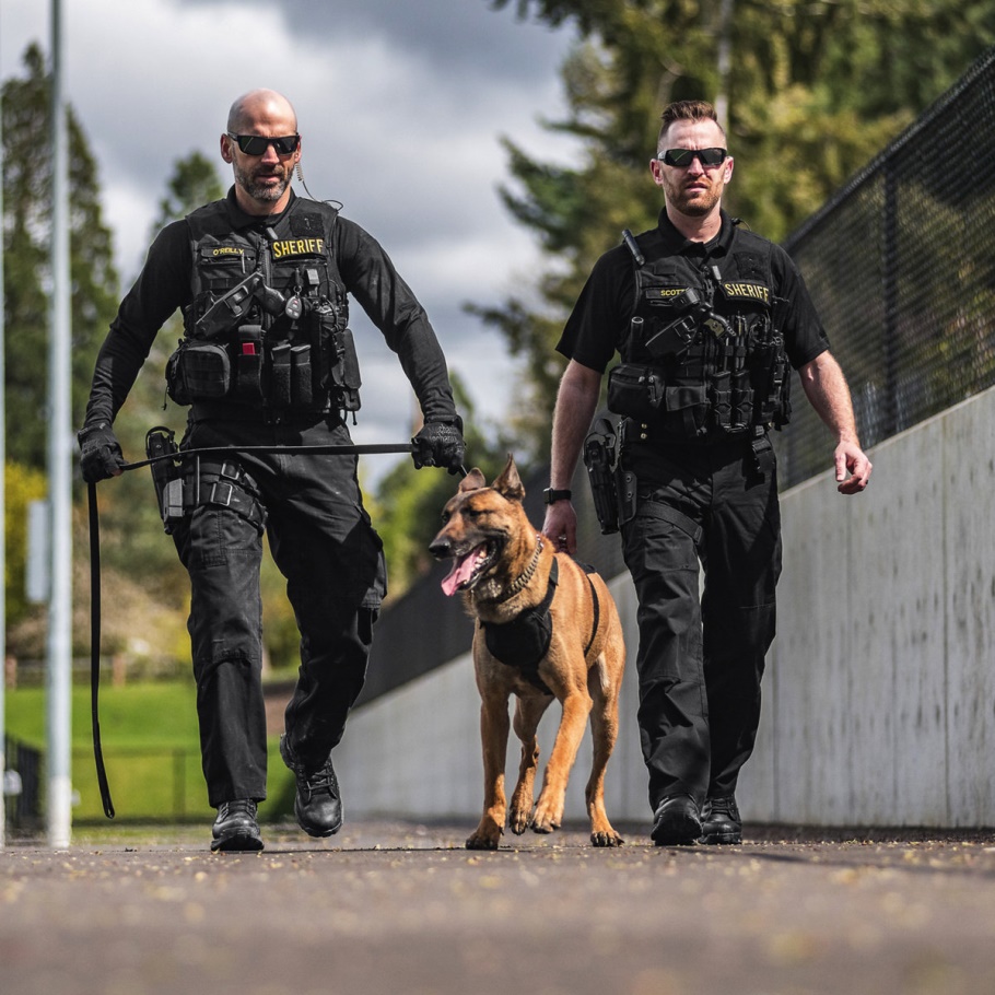 Slagbout 45 Zwarte Danner