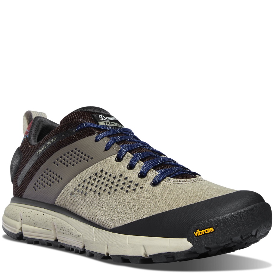 Trail 2650 Mesh Zilver Salie/stormblauw Danner