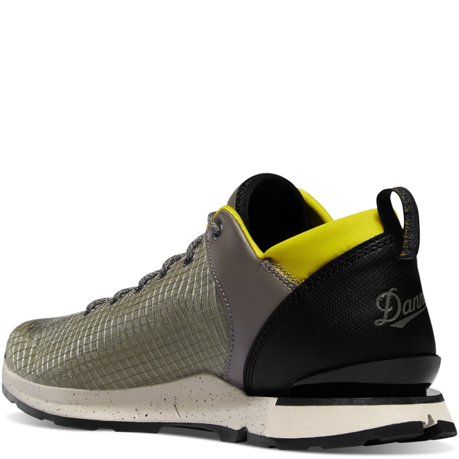 Woestijn Kijkt Uit Op Zilveren Salie Danner