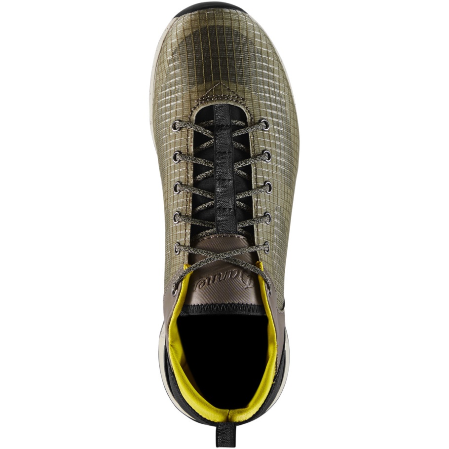 Woestijn Kijkt Uit Op Zilveren Salie Danner