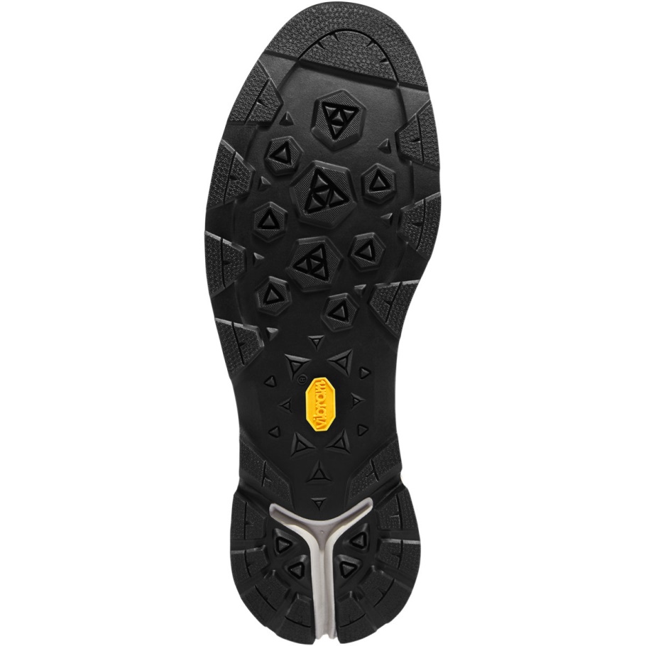 Woestijn Kijkt Uit Op Zilveren Salie Danner